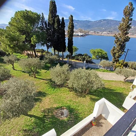Skiathos Lagoterra Apartments Ngoại thất bức ảnh
