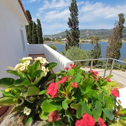 Skiathos Lagoterra Apartments Ngoại thất bức ảnh